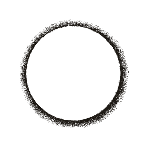 A mark: a circle